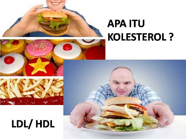 Gejala Penyebab Pengobatan Penyakit Kolesterol Lemak darah Gejala Penyebab Pengobatan Penyakit Kolesterol Lemak darah