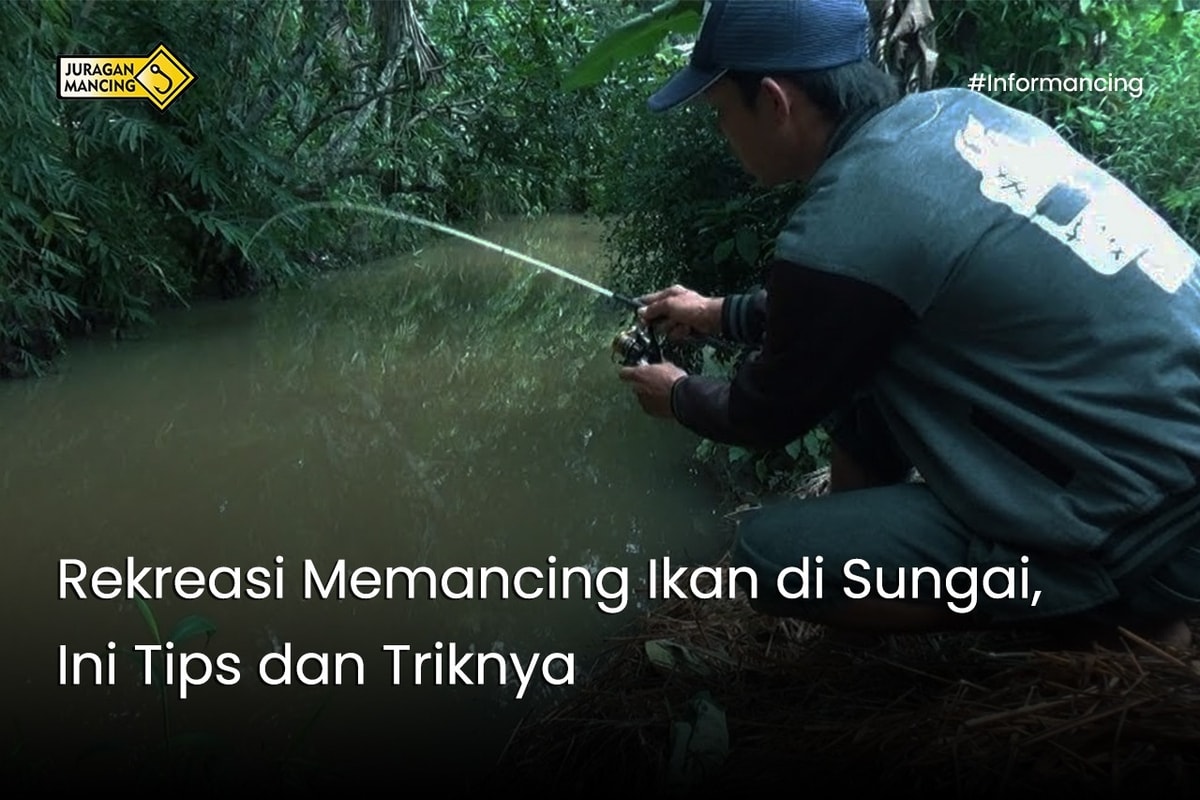 Rekreasi Memancing Ikan di Sungai, Ini Tips dan Triknya Rekreasi Memancing Ikan di Sungai, Ini Tips dan Triknya