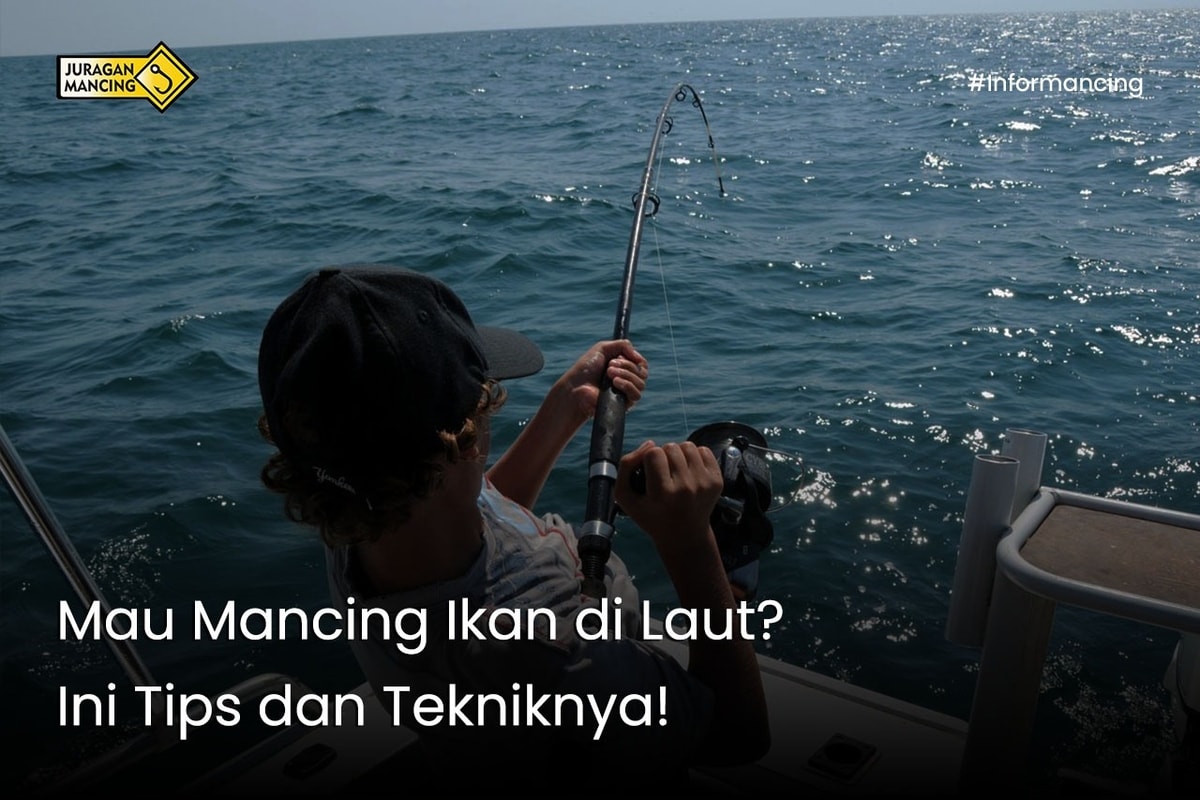 Mau Mancing Ikan di Laut? Ini Tips dan Tekniknya! Mau Mancing Ikan di Laut? Ini Tips dan Tekniknya!