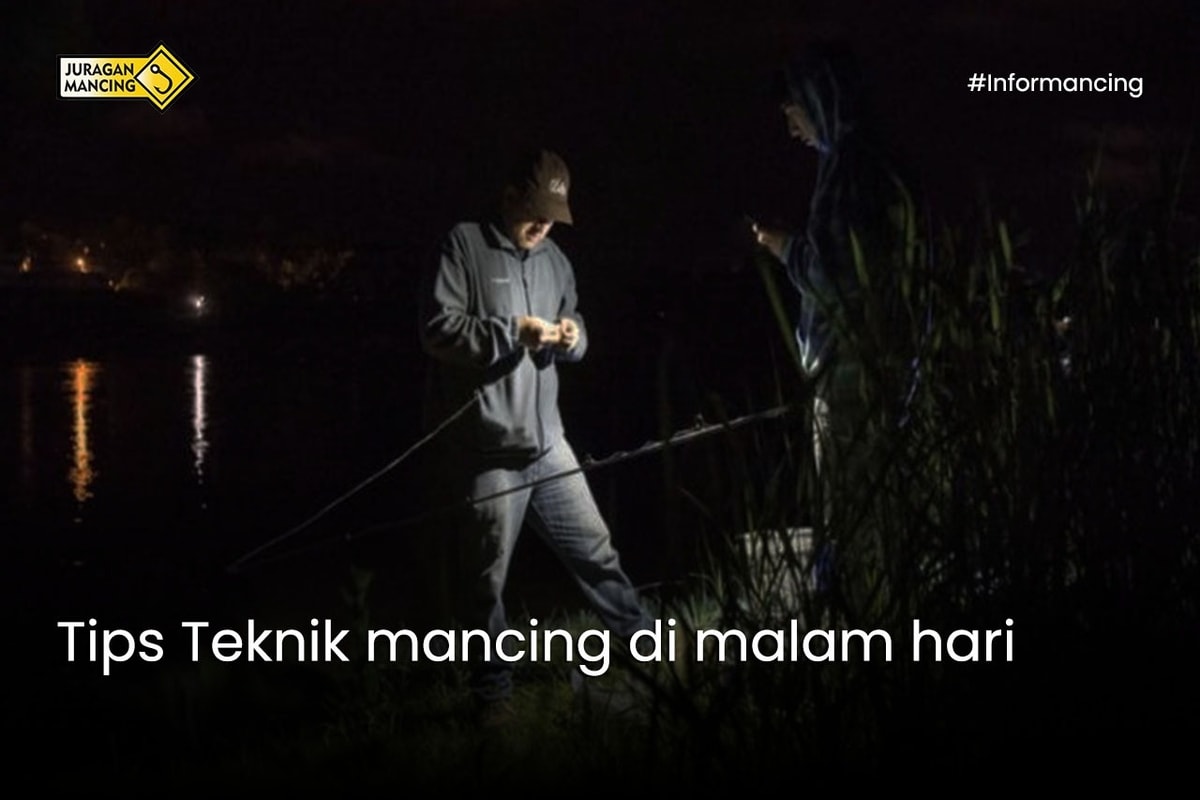 Tips Teknik mancing di malam hari Tips Teknik mancing di malam hari
