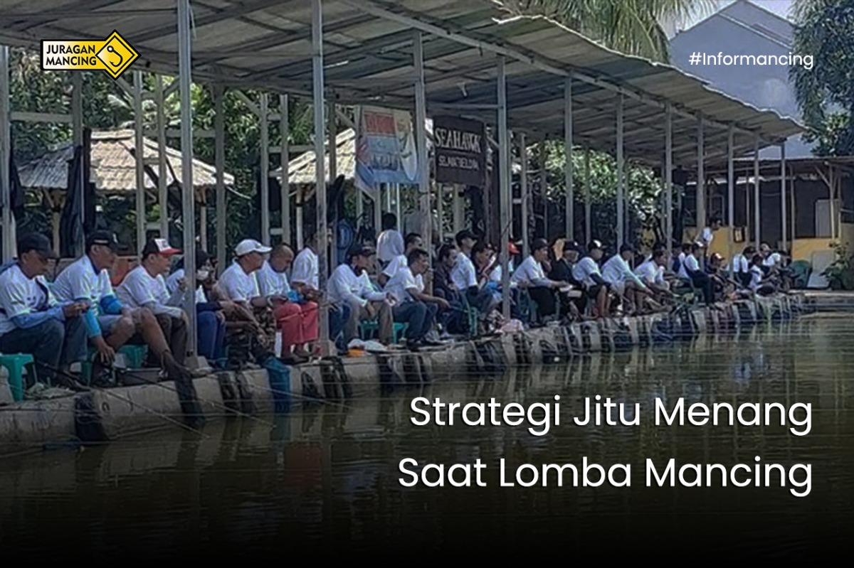 Strategi Jitu Menang Saat Lomba Mancing Strategi Jitu Menang Saat Lomba Mancing