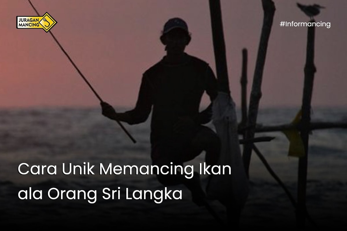 Cara Unik Memancing Ikan ala Orang Sri Langka Cara Unik Memancing Ikan ala Orang Sri Langka