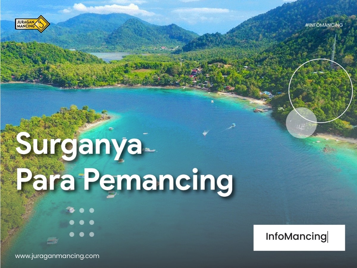 Tempat Mancing Terbaik Di Indonesia Tempat Mancing Terbaik Di Indonesia