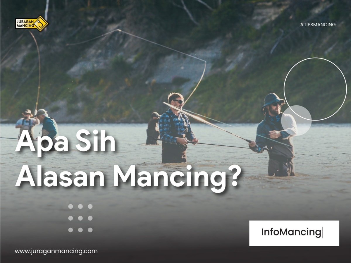 Apa sih Alasan mancing ? 5 Alasan Memancing Jadi Tren Aktivitas Akhir Pekan! Apa sih Alasan mancing ? 5 Alasan Memancing Jadi Tren Aktivitas Akhir Pekan!