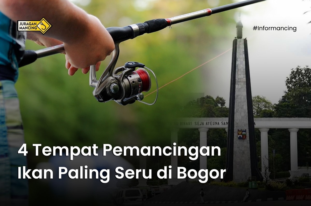 4 Tempat Pemancingan Ikan Paling Seru di Bogor 4 Tempat Pemancingan Ikan Paling Seru di Bogor