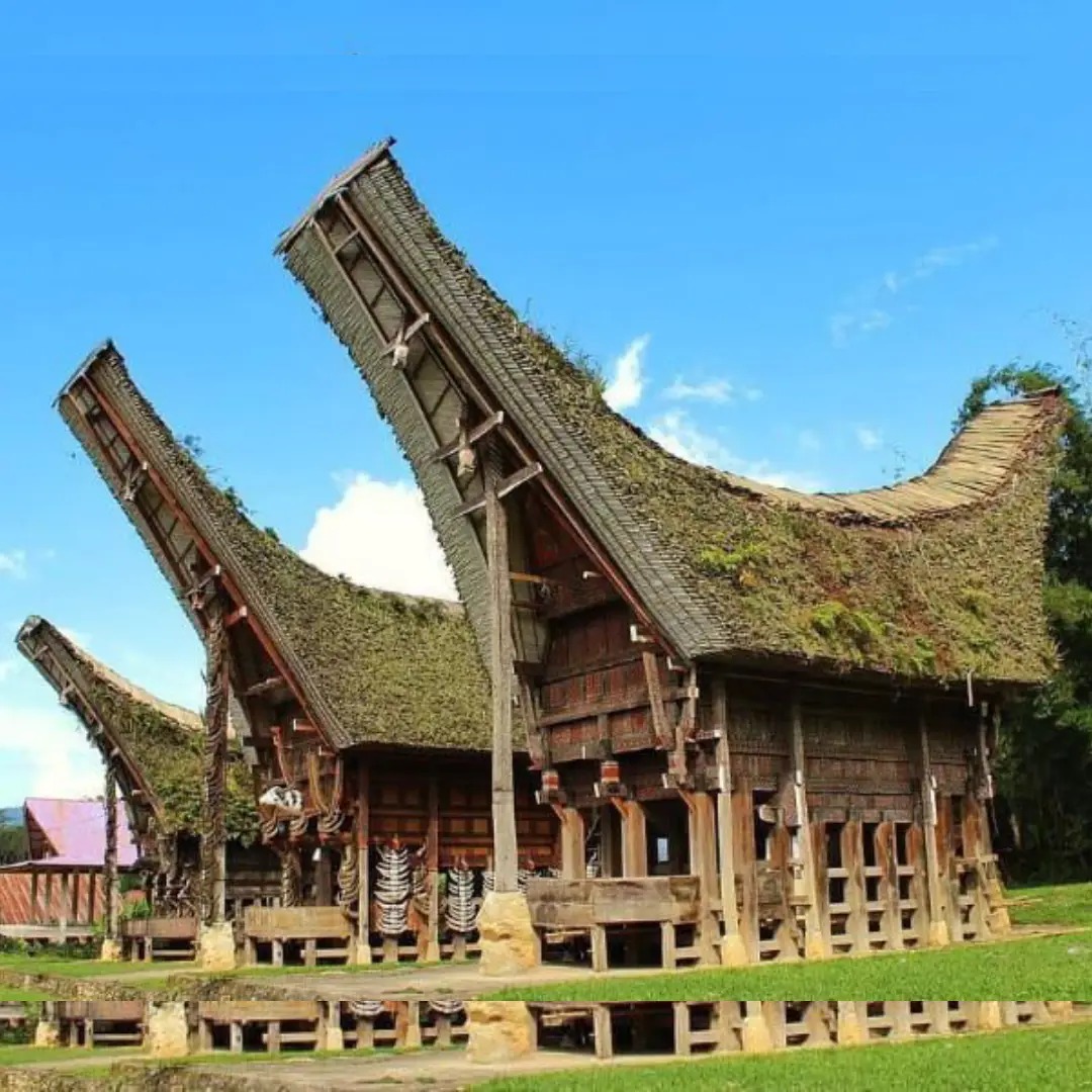 Rumah Adat Tongkonan (Toraja) Rumah Adat Tongkonan (Toraja)