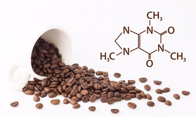 Tidur Sehabis Minum Kopi Ternyata Bisa Meningkatkan Produktifitas Tidur Sehabis Minum Kopi Ternyata Bisa Meningkatkan Produktifitas