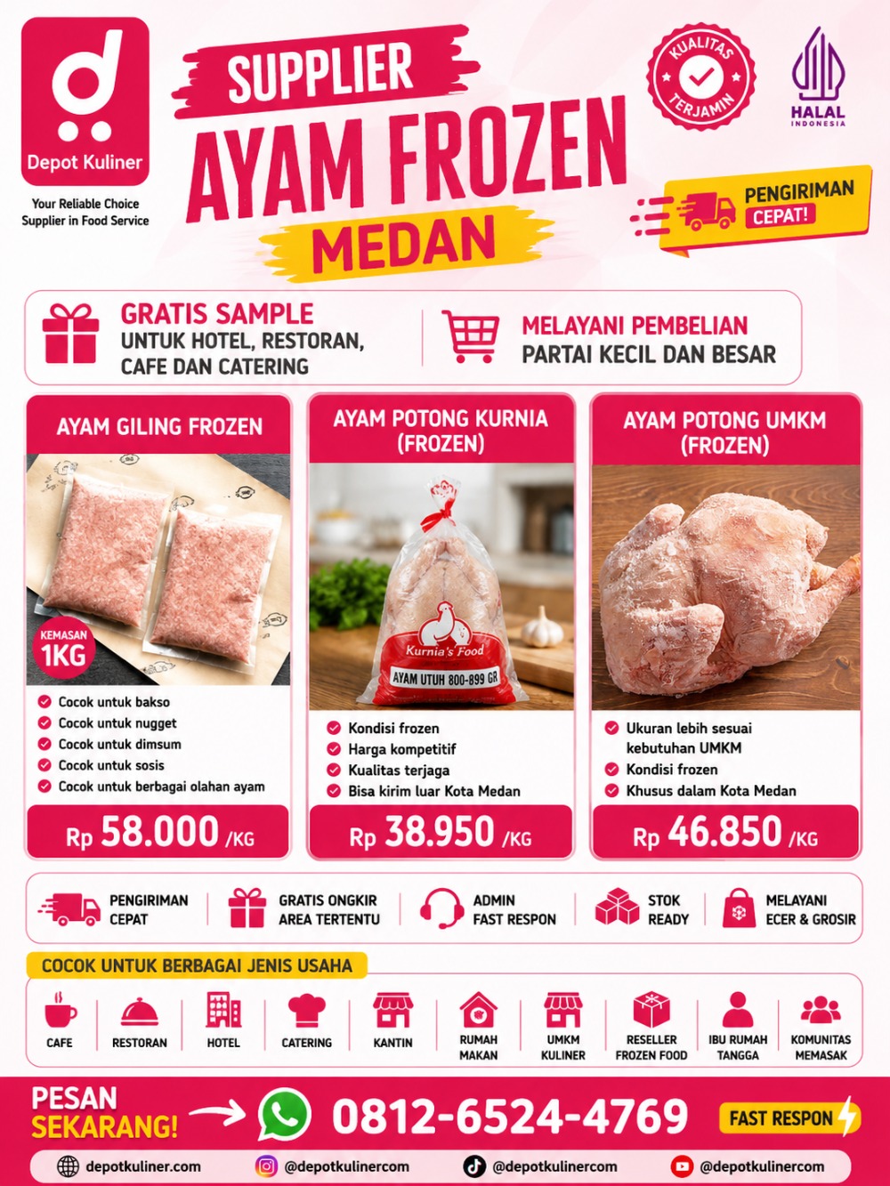 Supplier Ayam Frozen Medan