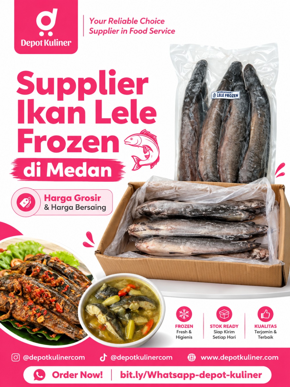 Supplier Ikan Lele Frozen di Medan