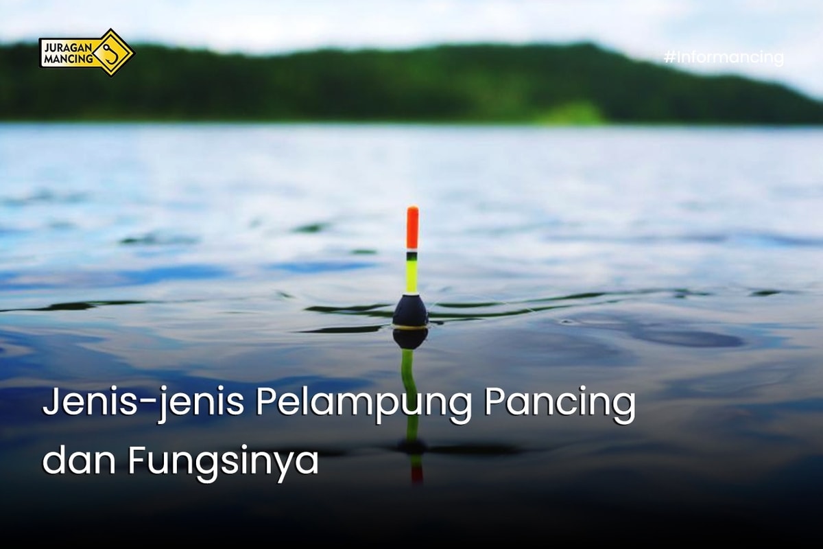 Jenis-jenis Pelampung Pancing dan Fungsinya