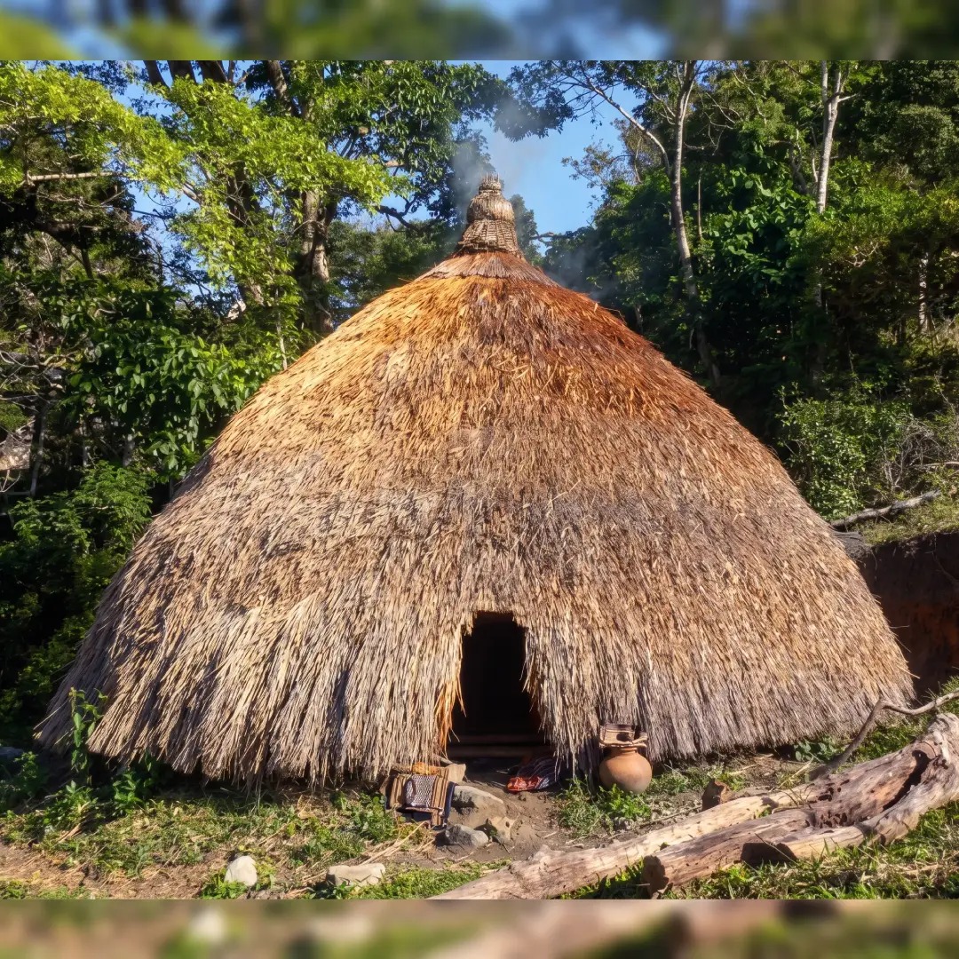 Ume Kbubu