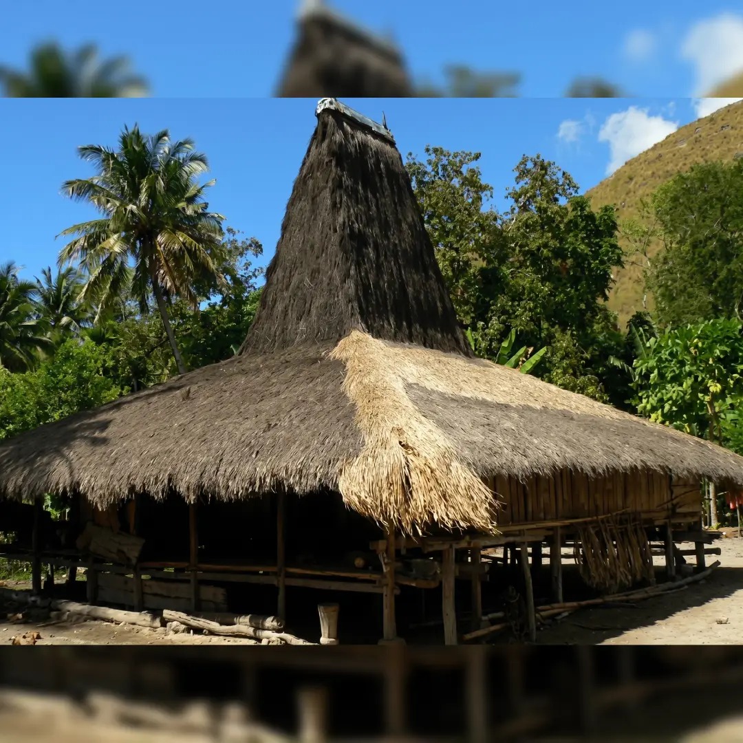 Rumah Adat Musalaki