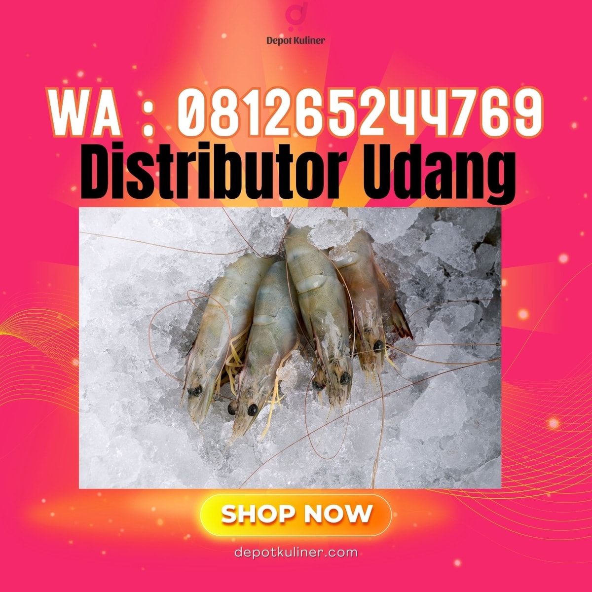 Distributor Udang HARGA DISKON, Hub: 0812-6524-4769