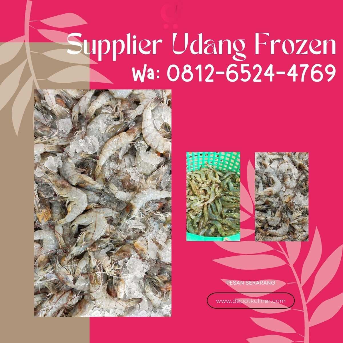 HARGA GROSIR, 0812.6524.4769 Supplier Udang Frozen