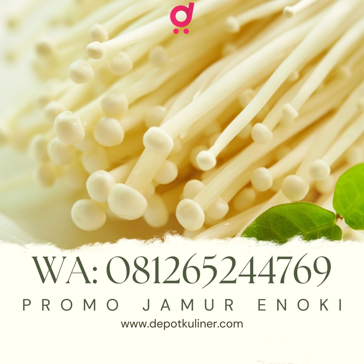 Promo Jamur Enoki HARGA DISTRIBUTOR, (0812-6524-4769)