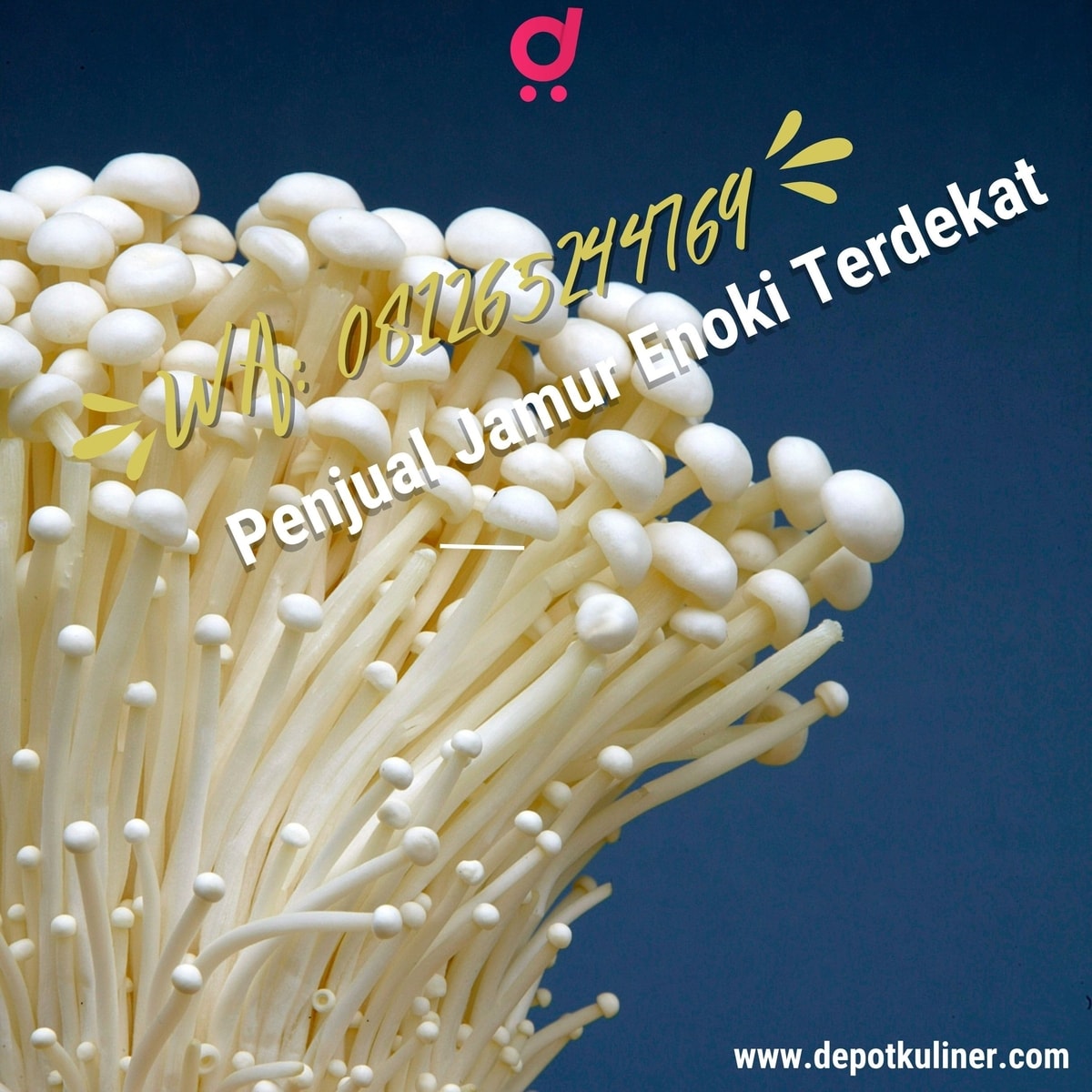 FAST RESPON, Tlp 0812-6524-4769 Penjual Jamur Enoki Terdekat