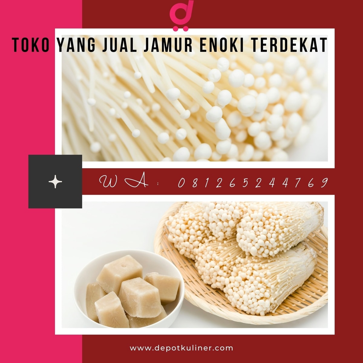 TERMURAH, 0812.6524.4769 Toko Yang Jual Jamur Enoki Terdekat