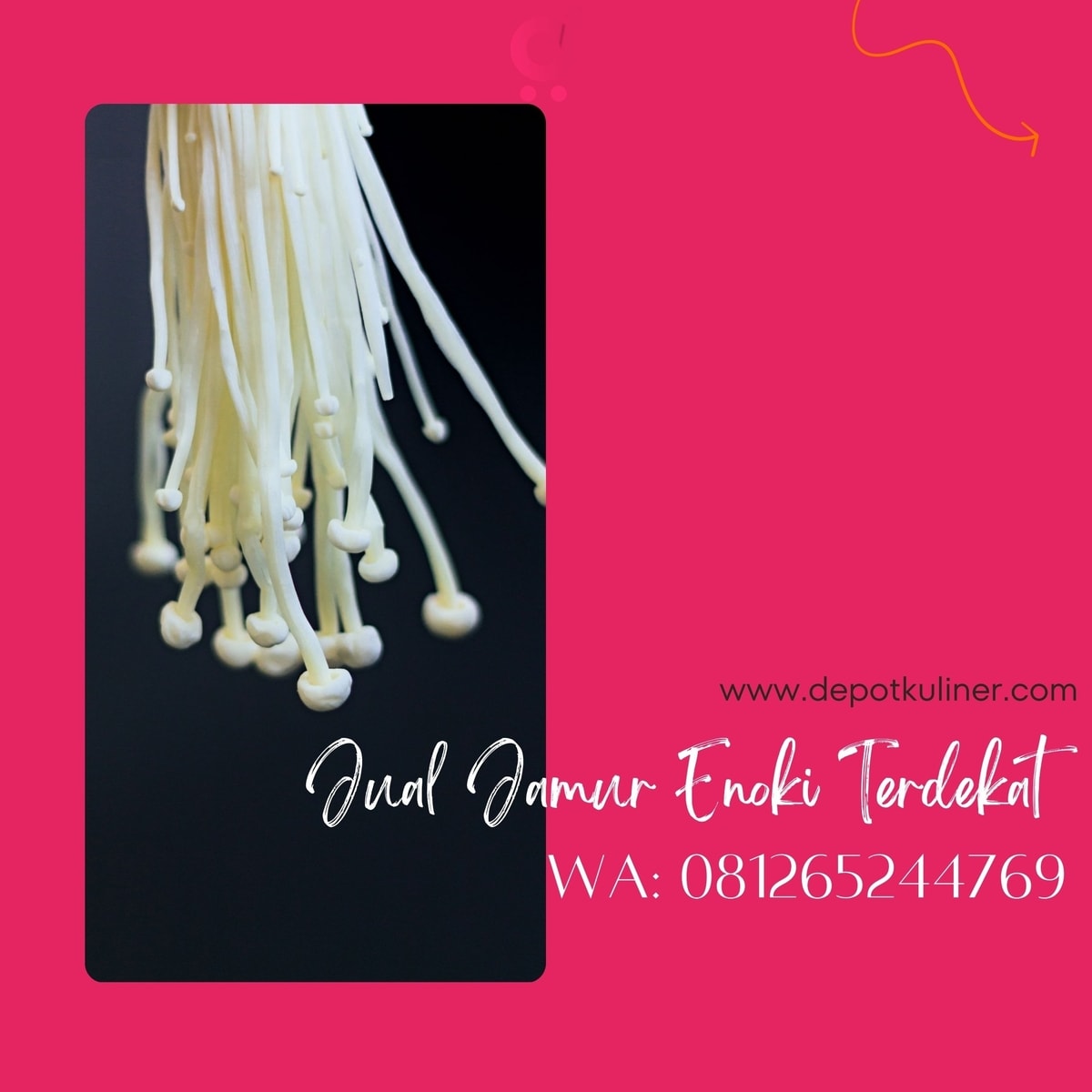 Jual Jamur Enoki Terdekat HARGA HEMAT, (0812-6524-4769)