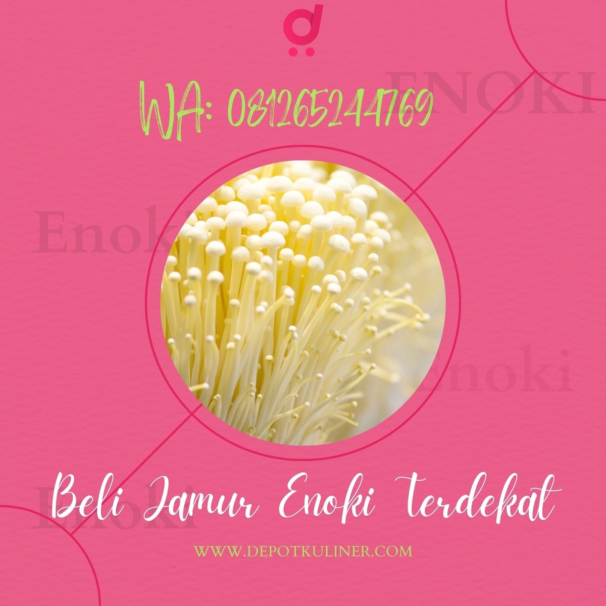 MURAH BERKUALITAS, 0812.6524.4769 Beli Jamur Enoki Terdekat