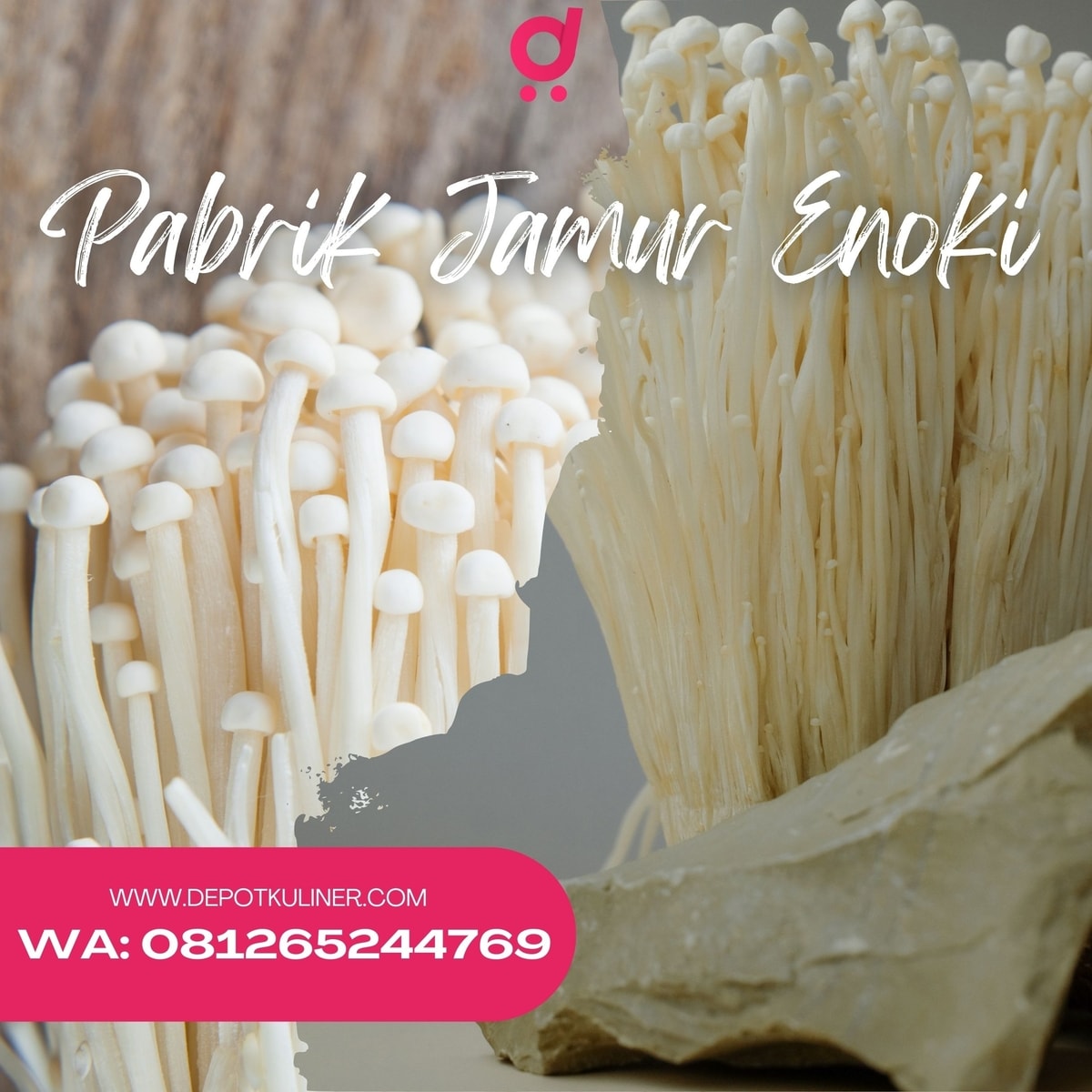 Pabrik Jamur Enoki: Menyediakan Jamur Berkualitas untuk Kebutuhan Kuliner Anda