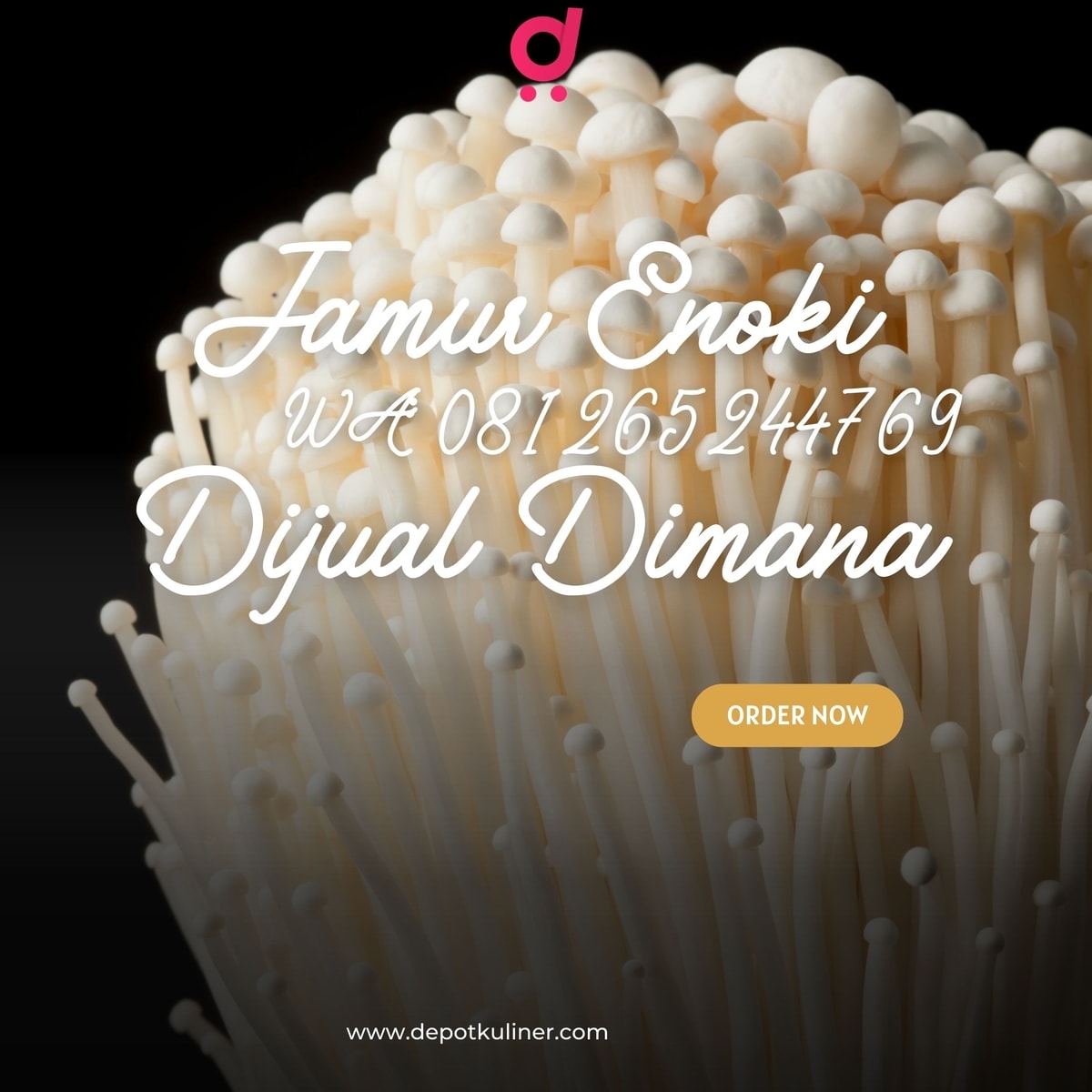 HARGA TERJANGKAU, Tlp 0812-6524-4769 Jamur Enoki Dijual Dimana