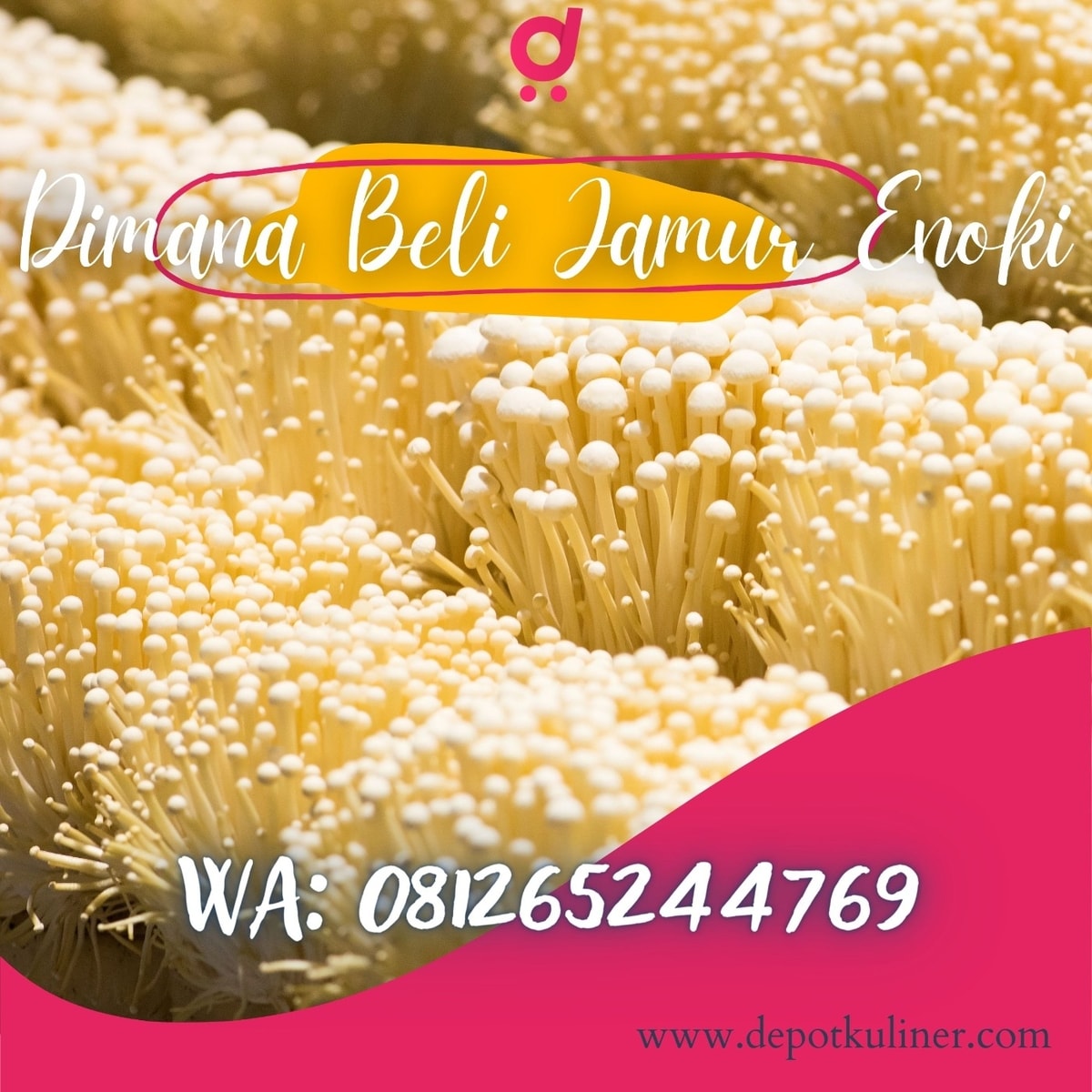 Dimana Beli Jamur Enoki HARGA HEMAT, Hub: 0812-6524-4769