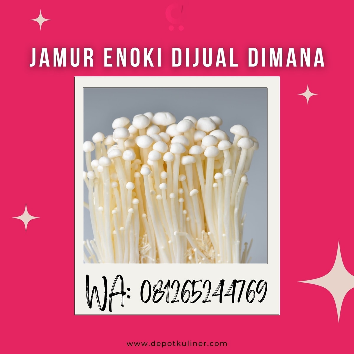 HARGA GROSIR, 0812-6524-4769 Jamur Enoki Dijual Dimana