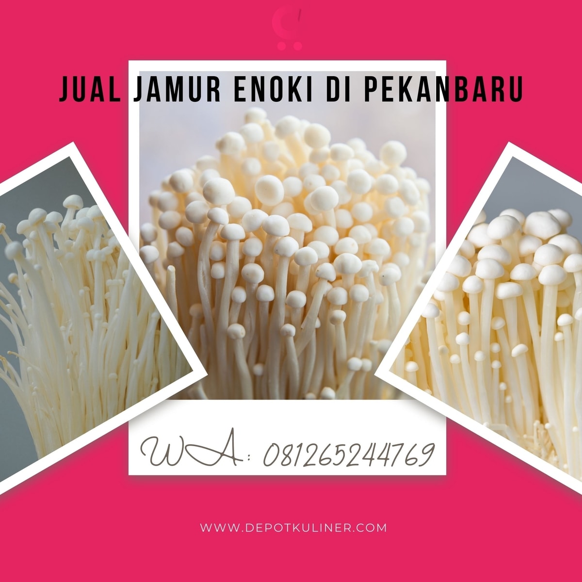 TERMURAH, (0812.6524.4769) Jual Jamur Enoki Di Pekanbaru