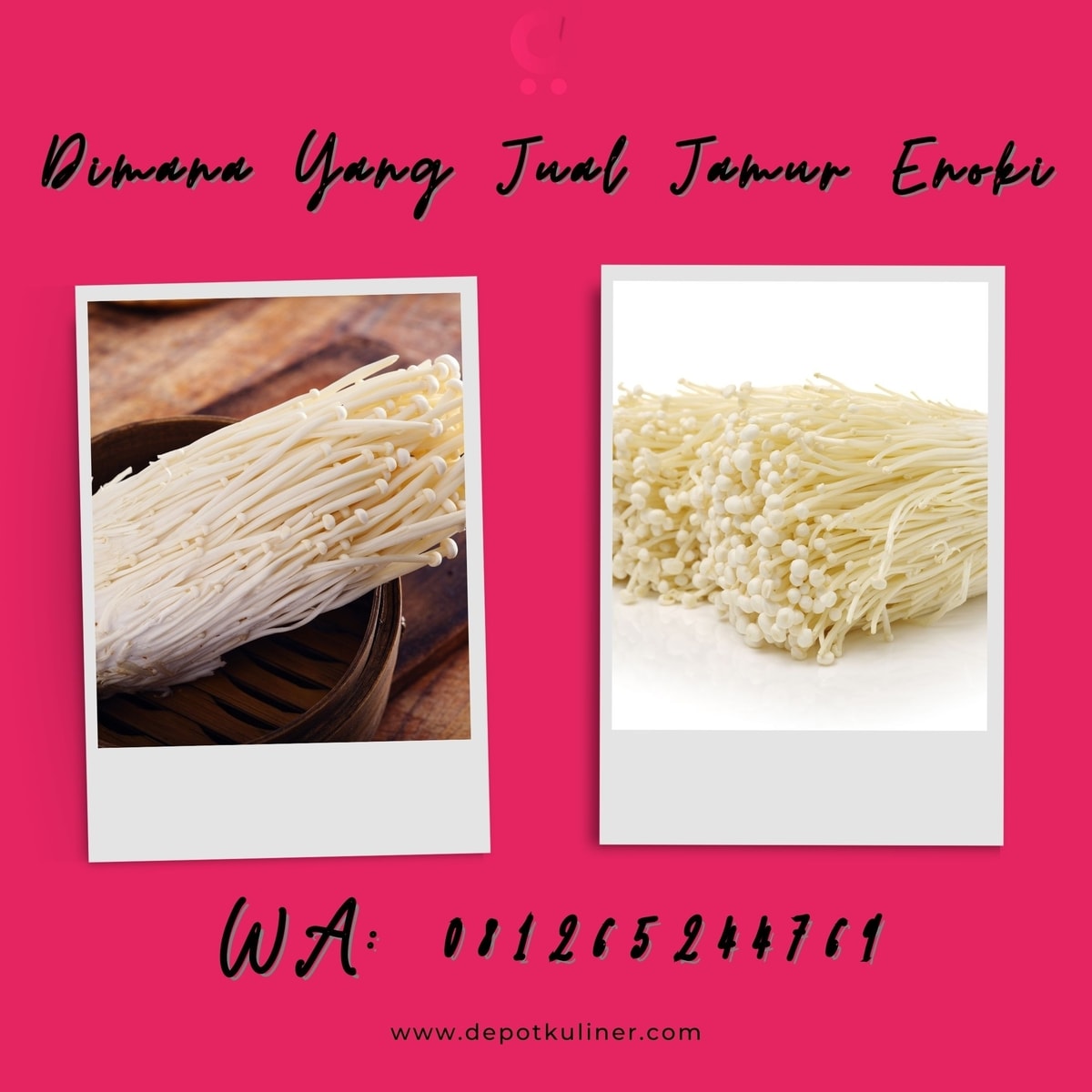 Dimana Yang Jual Jamur Enoki HARGA BERSAHABAT, 081265244769