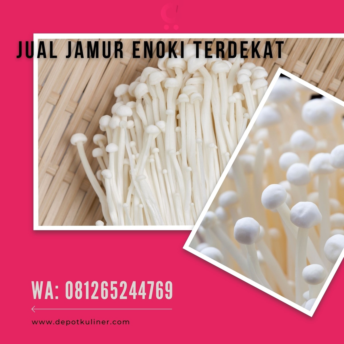 Jual Jamur Enoki Terdekat LAYANAN TERCEPAT, Hub: 0812-6524-4769