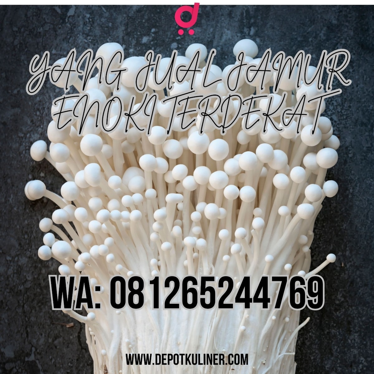 Yang Jual Jamur Enoki Terdekat LARIS MANIS, 081265244769