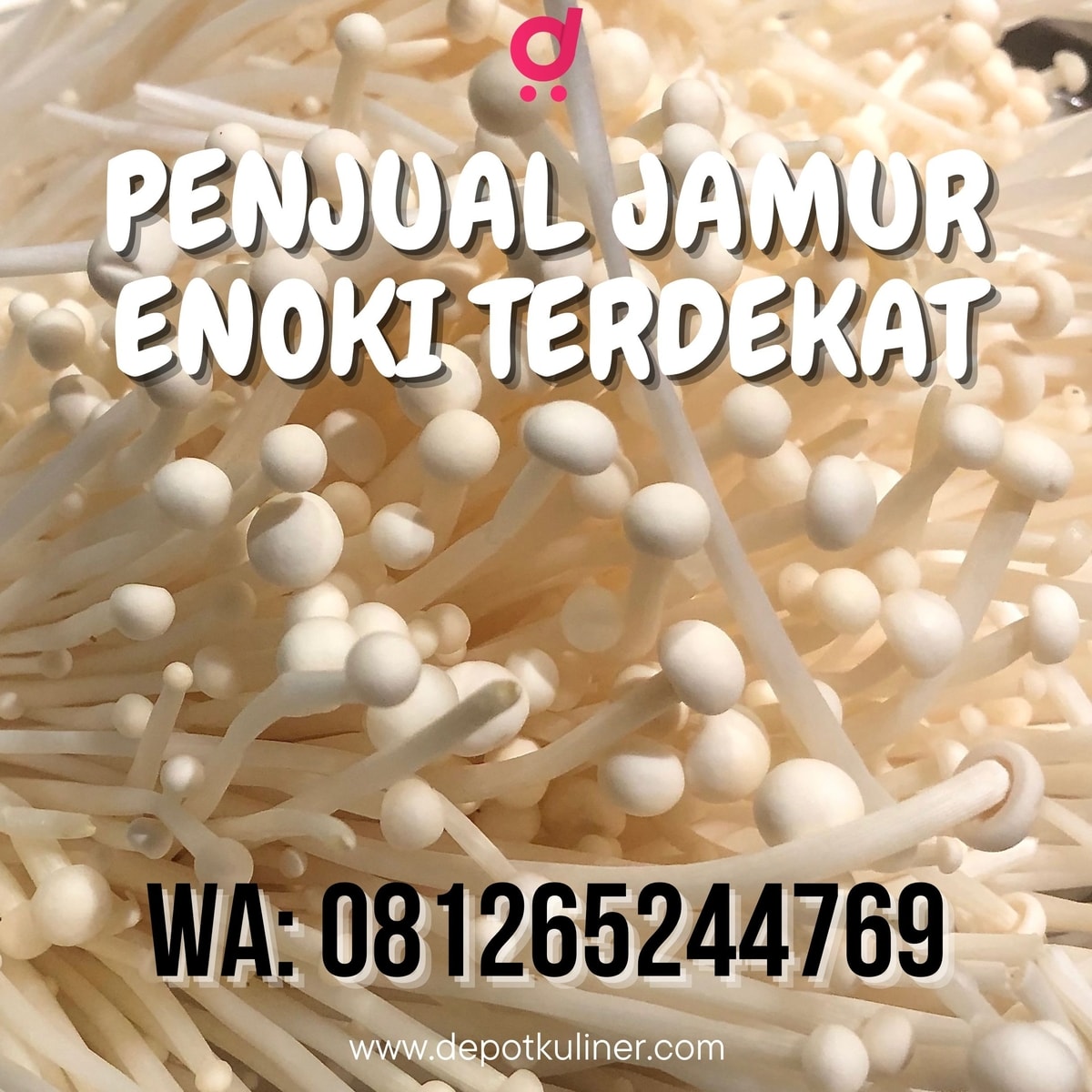 PALING LAKU, 0812-6524-4769 Penjual Jamur Enoki Terdekat