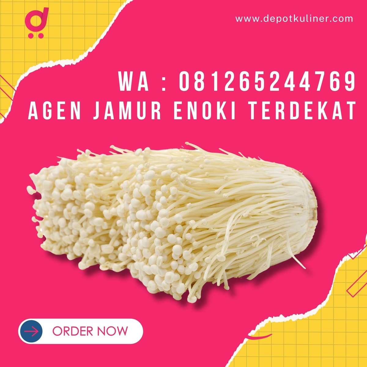 Jamur Enoki Segar dan Murah? Temukan Agen Terdekat di Sini!