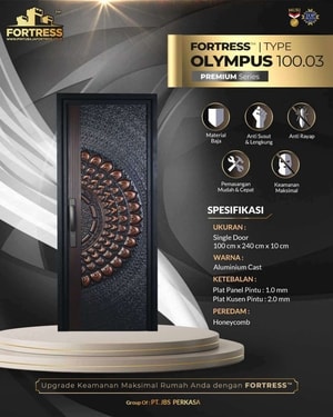 olympus 100.03