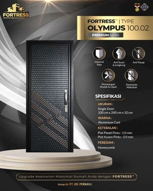 olympus 100.02