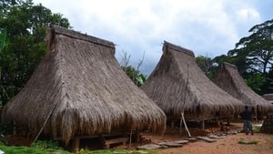 5 Daftar Nama Rumah Adat NTT yang Memiliki Keunikan Khas