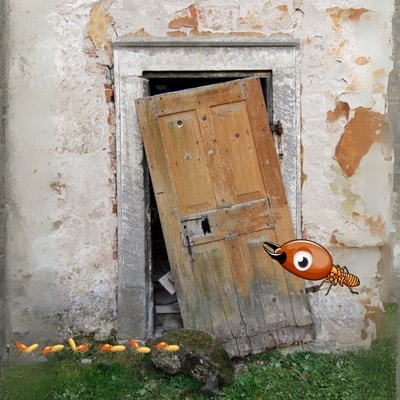 -