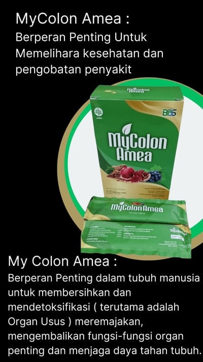Gambar Mycolon Amea