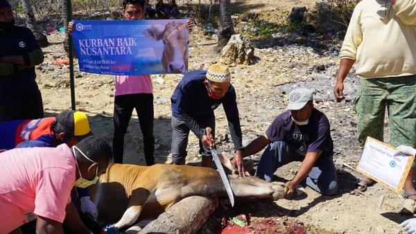 Daging yang Ditunggu Setahun Sekali Di Desa Muslim Pulau Rote, NTT