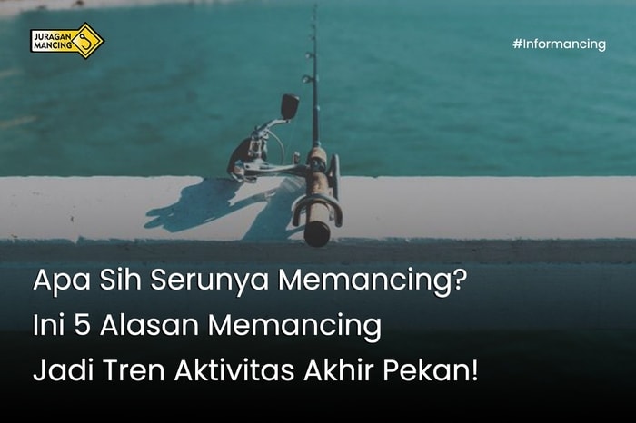 Apa Sih Serunya Memancing? Ini 5 Alasan Memancing Jadi Tren Aktivitas Akhir Pekan!