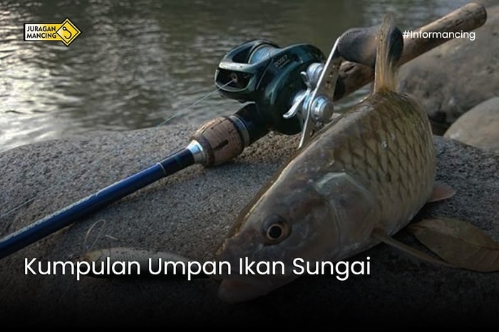 Umpan Ikan Sungai