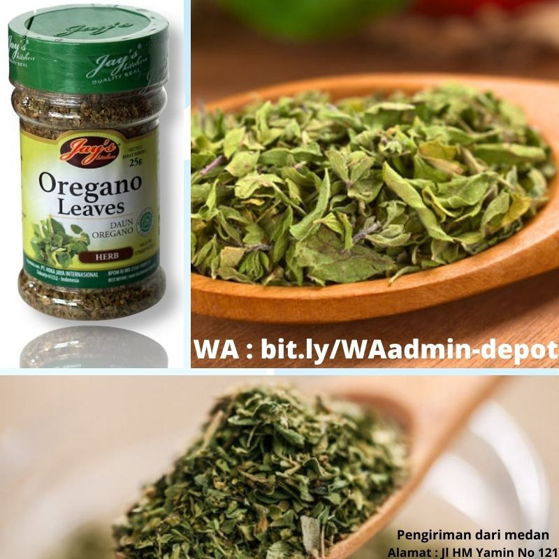 Sedia Daun Oregano di Medan